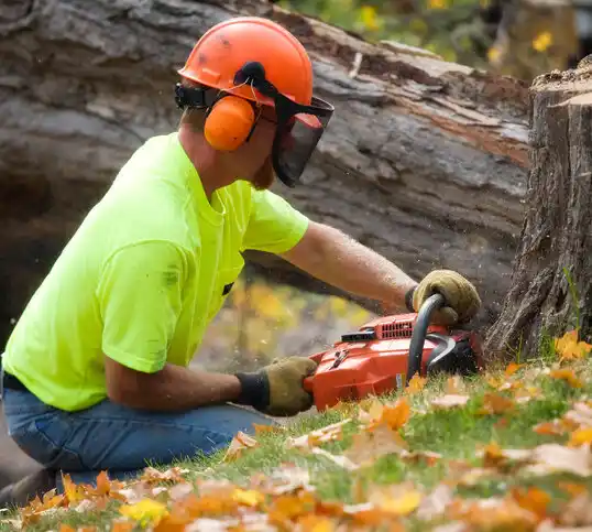 tree services Kure Beach